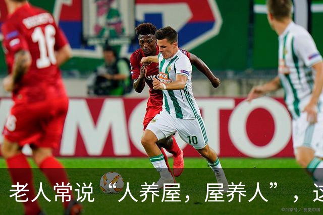 老人常说“人养屋，屋养人”，这5类东西尽量别囤！