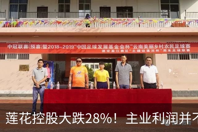 莲花控股大跌28%！主业利润并不差，多数散户没读懂背后真实逻辑